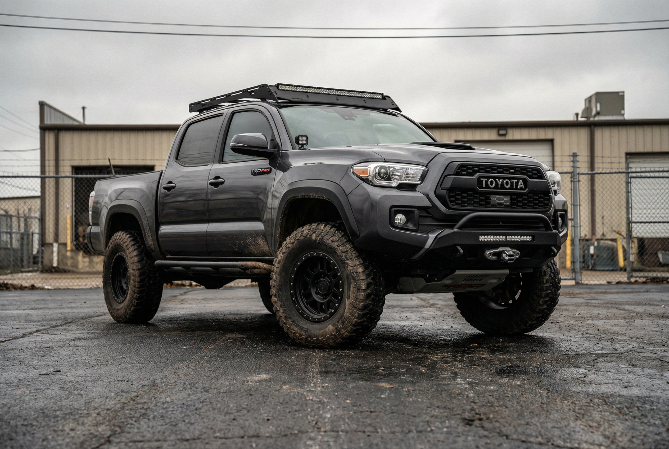 Platinum Member Hour